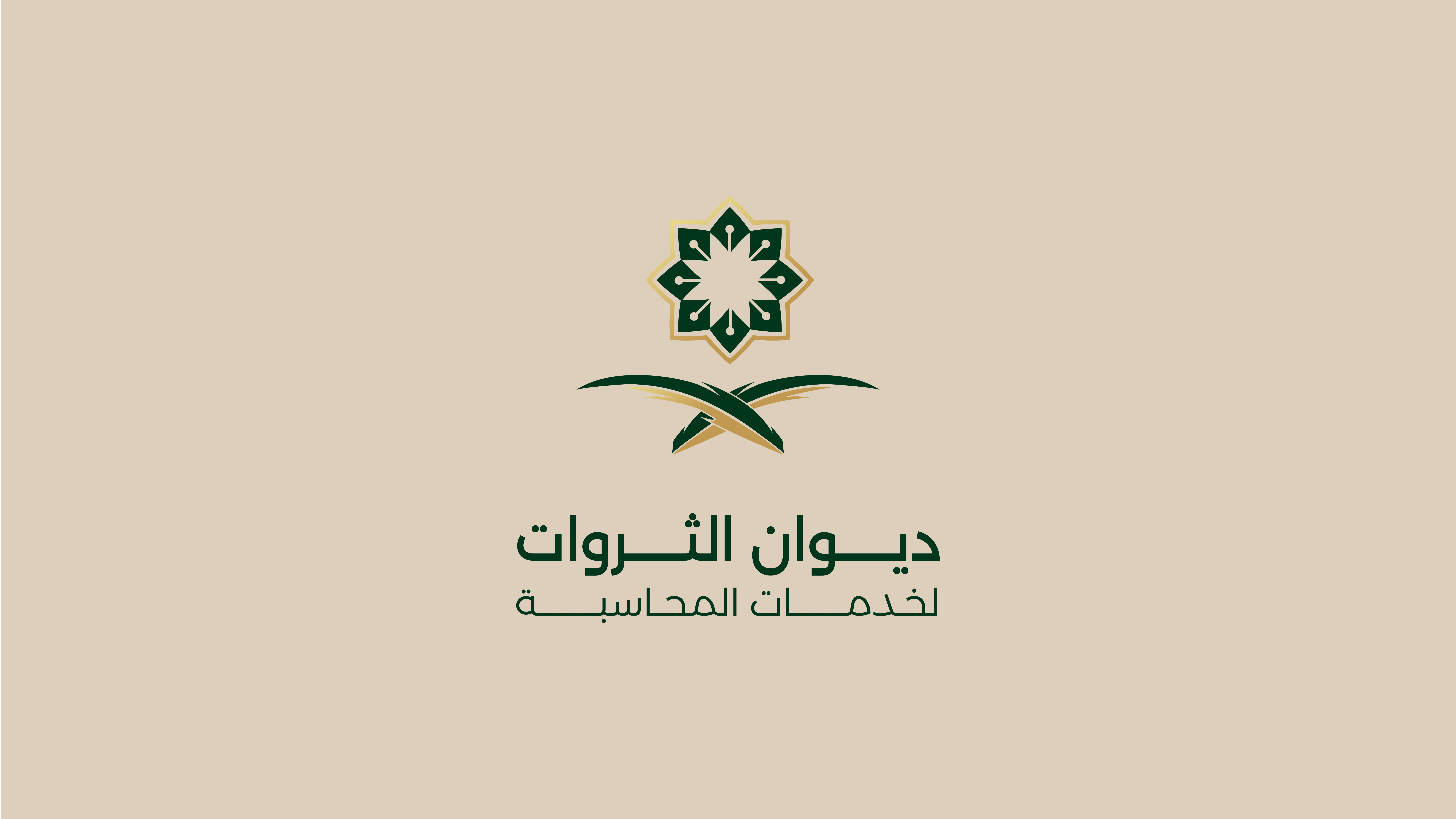 تصميم هوية بصرية لقطاع الخدمات المحاسبية والمالية | ديوان الثروات 5