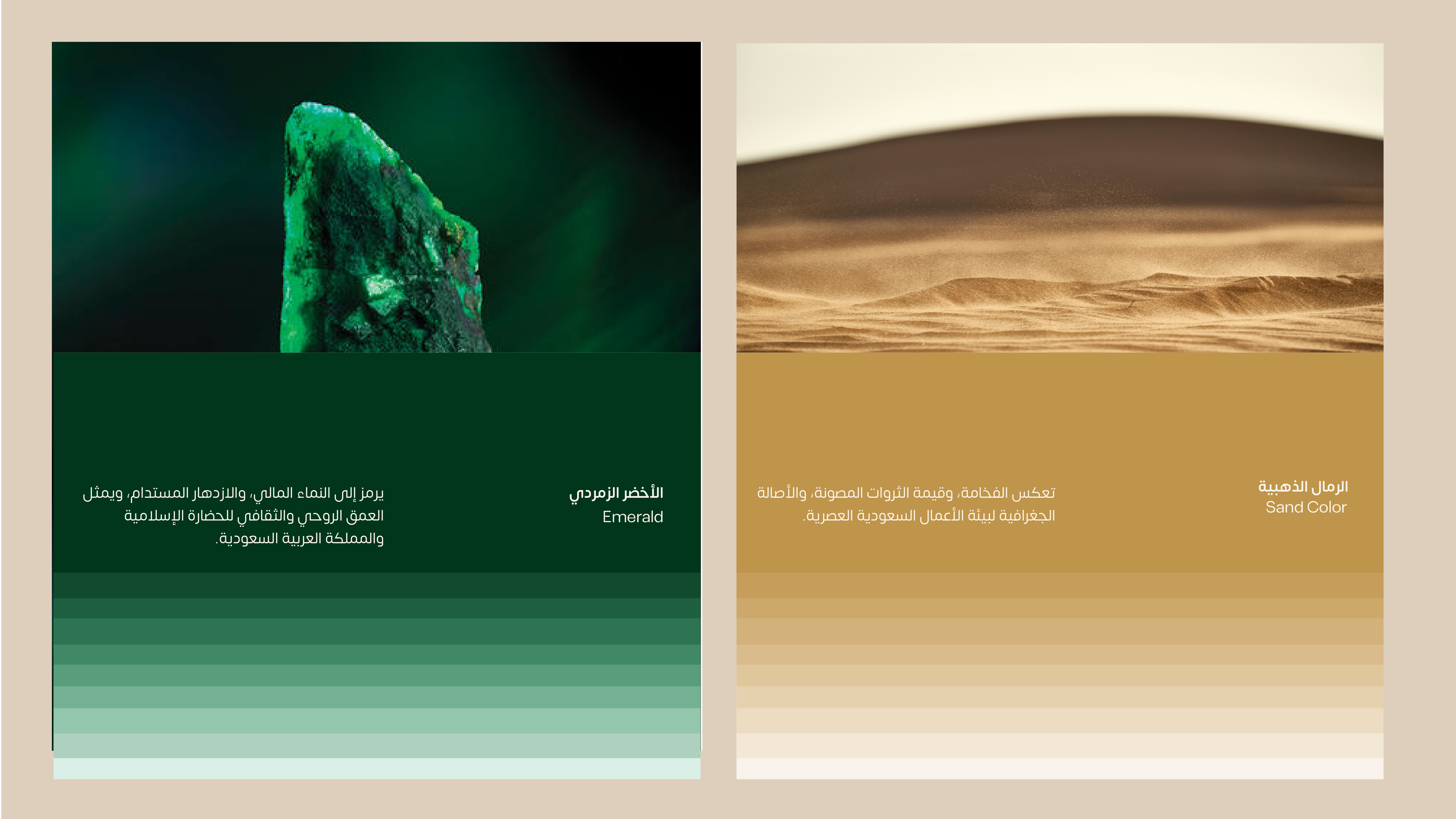 تصميم هوية بصرية لقطاع الخدمات المحاسبية والمالية | ديوان الثروات 7