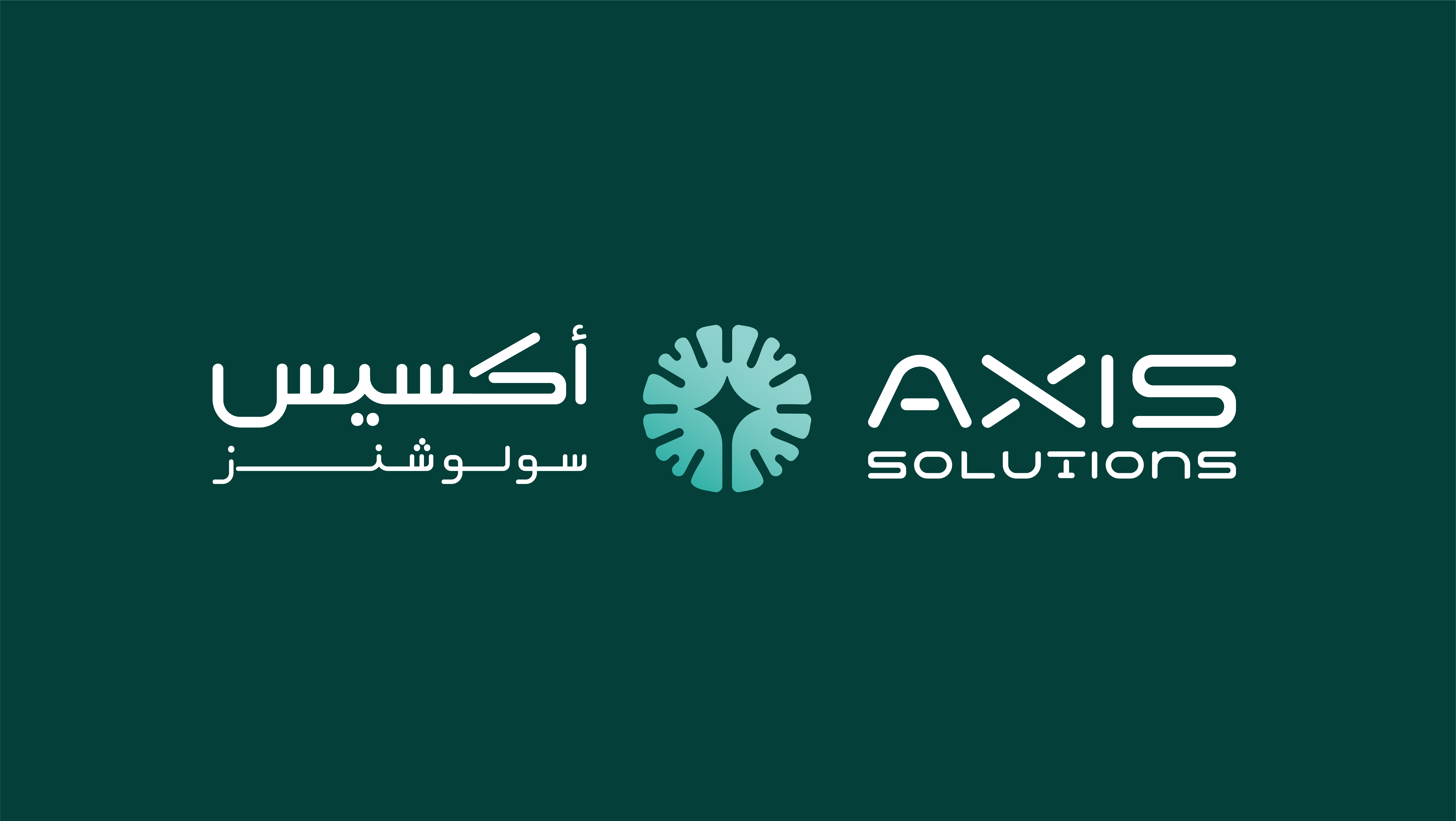 Axis Solutions 4